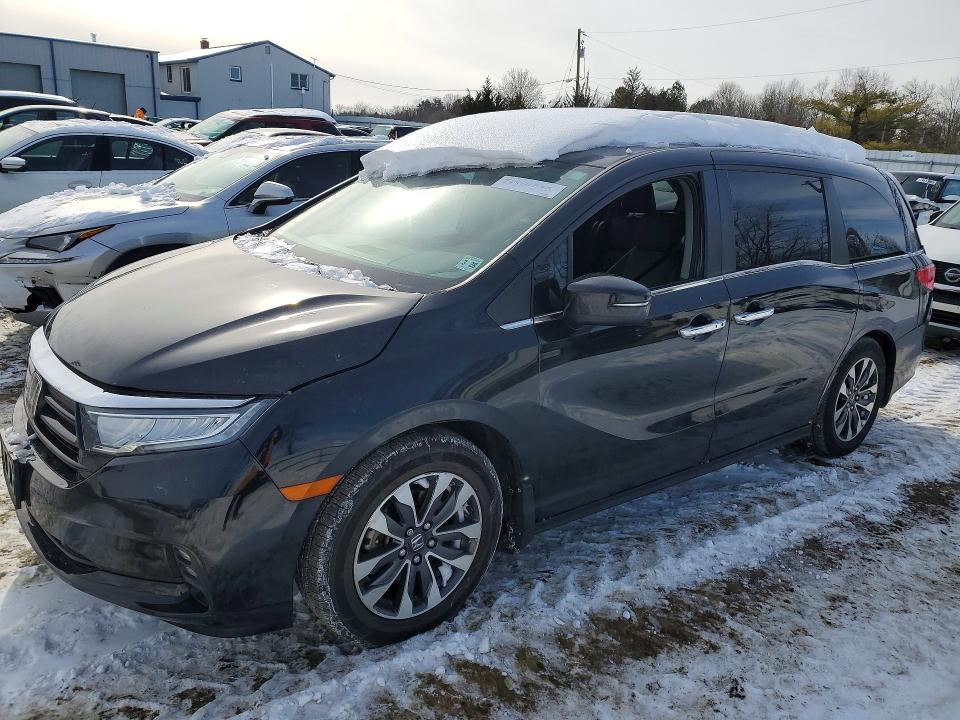2023 HONDA ODYSSEY — VIN 5FNRL6H67PB043434