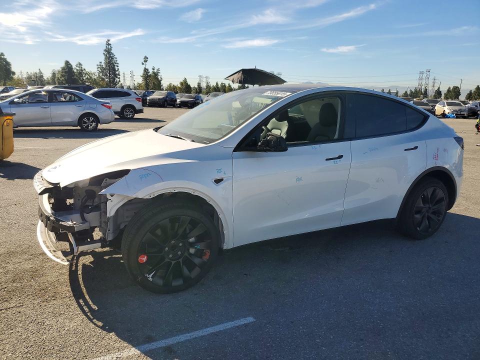2024 TESLA MODEL Y — VIN 7SAYGDEDXRF201522