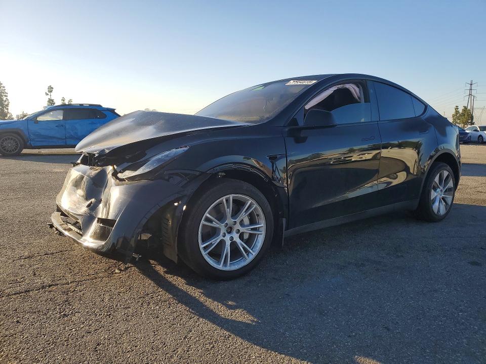 2024 TESLA MODEL Y — VIN 7SAYGDEE9RF056899