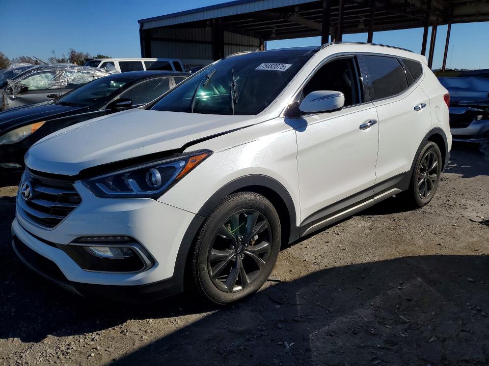 2017 HYUNDAI SANTA FE S — VIN 5XYZW4LA1HG466589