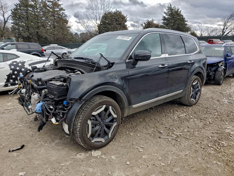 2024 KIA TELLURIDE — VIN 5XYP64GC7RG559248