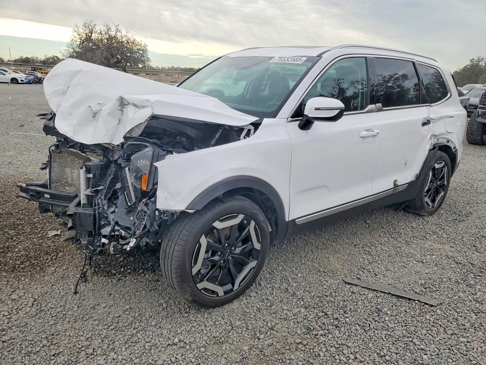 2024 KIA TELLURIDE — VIN 5XYP34GCXRG559981