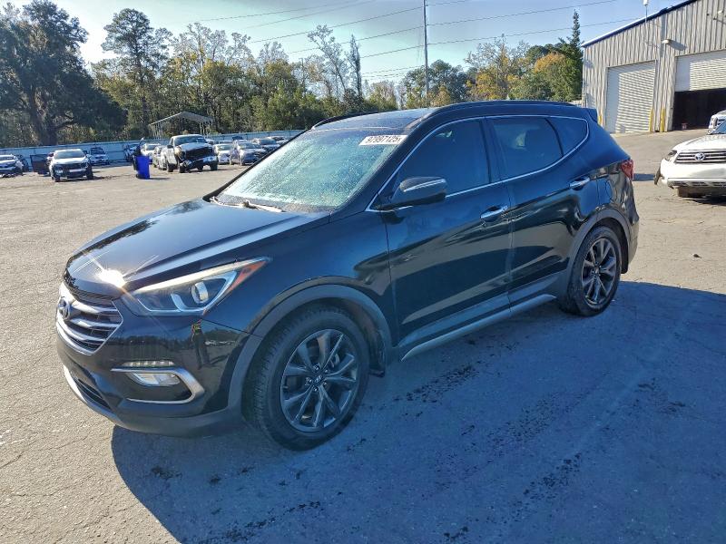 2017 HYUNDAI SANTA FE S — VIN 5XYZW4LA9HG460975