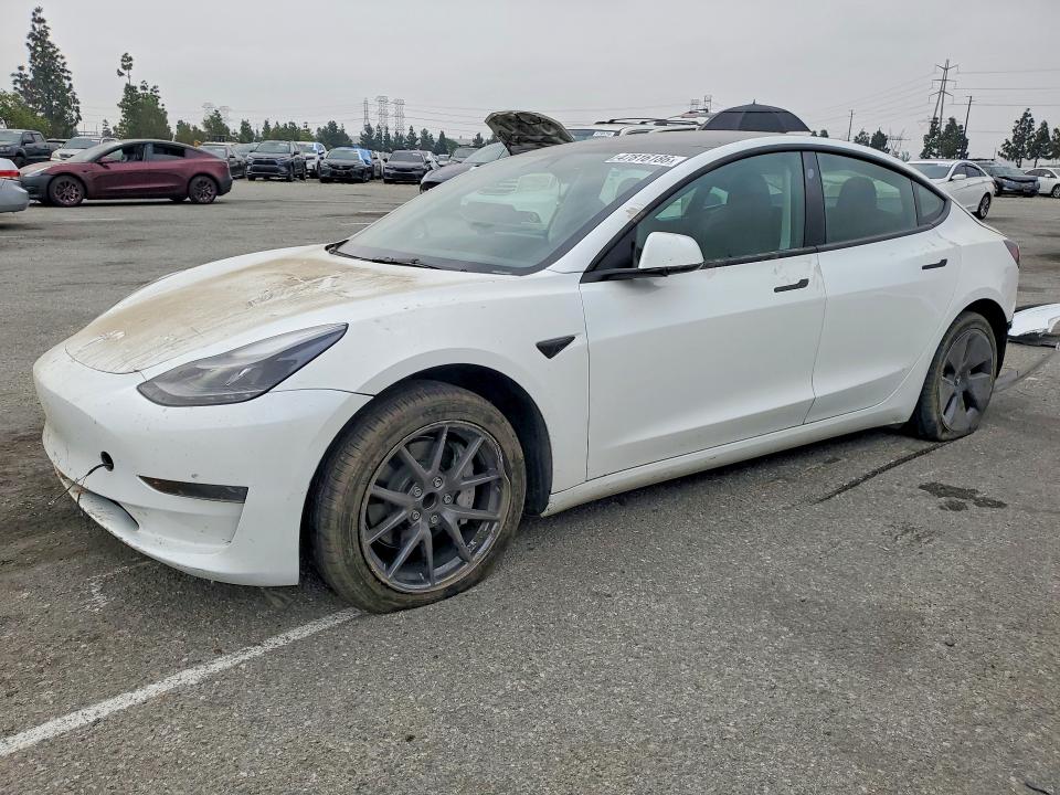 2023 TESLA MODEL 3 — VIN 5YJ3E1EA7PF550703