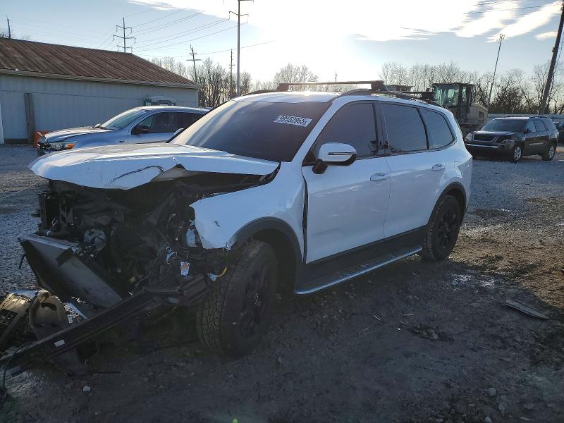 2024 KIA TELLURIDE — VIN 5XYP5DGC0RG446132