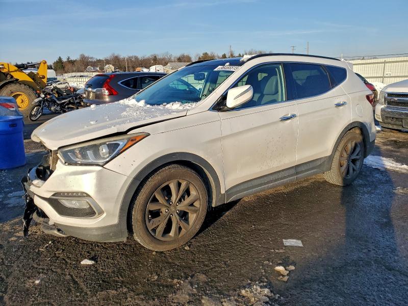 2017 HYUNDAI SANTA FE S — VIN 5XYZWDLA4HG396201