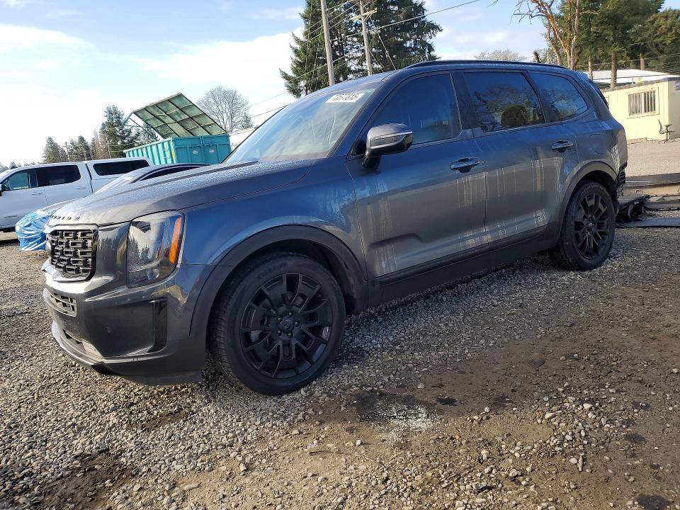 2021 KIA TELLURIDE — VIN 5XYP5DHC4MG164051