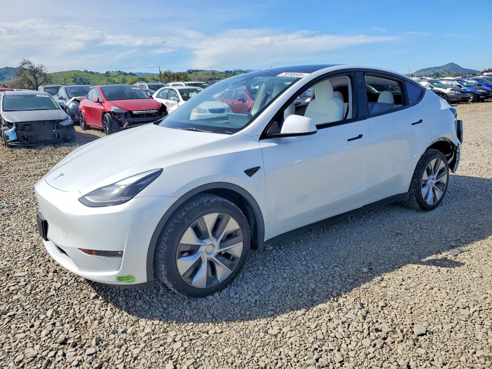 2023 TESLA MODEL Y — VIN 7SAYGDEE3PF670991