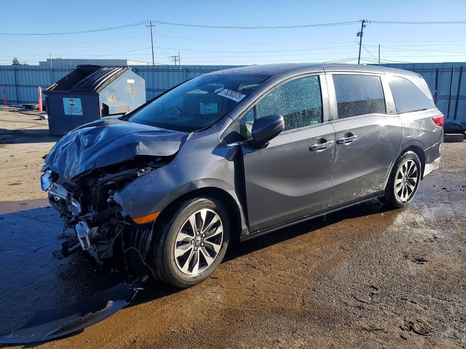 2024 HONDA ODYSSEY — VIN 5FNRL6H64RB011981