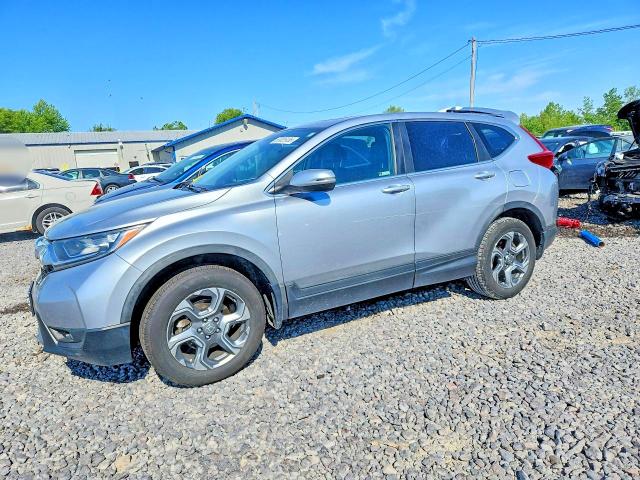 2019 HONDA CR-V — VIN 5J6RW2H84KL016449