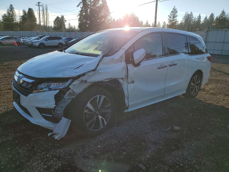 2019 HONDA ODYSSEY — VIN 5FNRL6H97KB038205