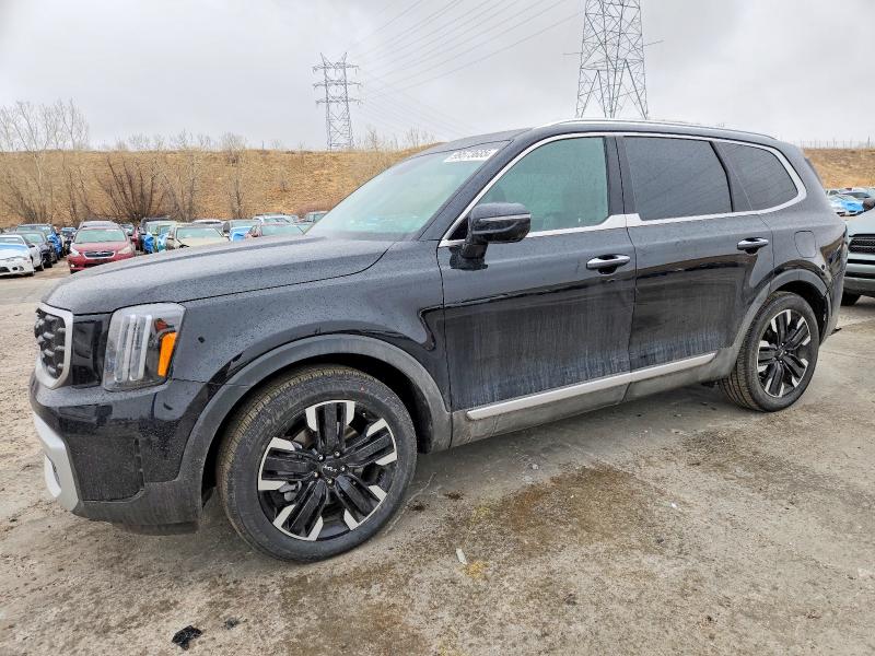 2024 KIA TELLURIDE — VIN 5XYP5DGC2RG542036