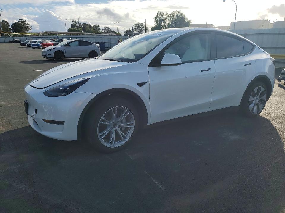 2024 TESLA MODEL Y — VIN 7SAYGDEE1RF059599