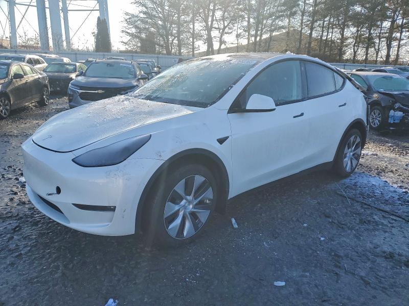 2023 TESLA MODEL Y — VIN 7SAYGDEE6PF768915