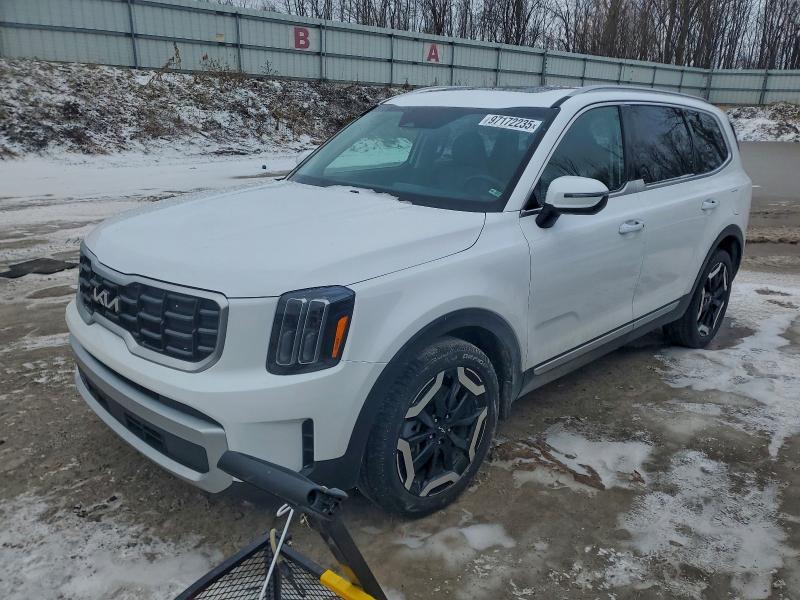 2024 KIA TELLURIDE — VIN 5XYP6DGC6RG478872
