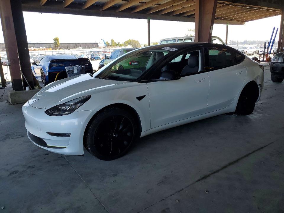 2019 TESLA MODEL 3 — VIN 5YJ3E1EB6KF408330