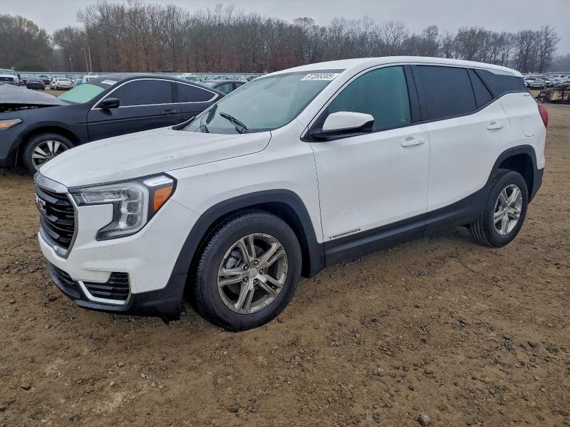 2024 GMC TERRAIN — VIN 3GKALMEG7RL137465