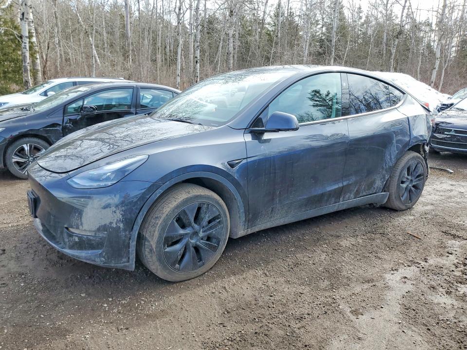 2025 TESLA MODEL Y — VIN 7SAYGDEE7SF283787