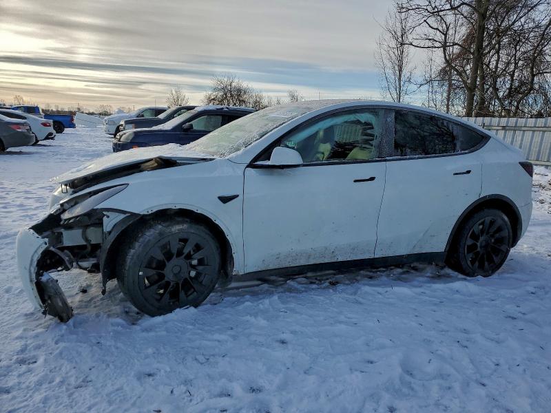 2022 TESLA MODEL Y — VIN 7SAYGDEE5NF517106