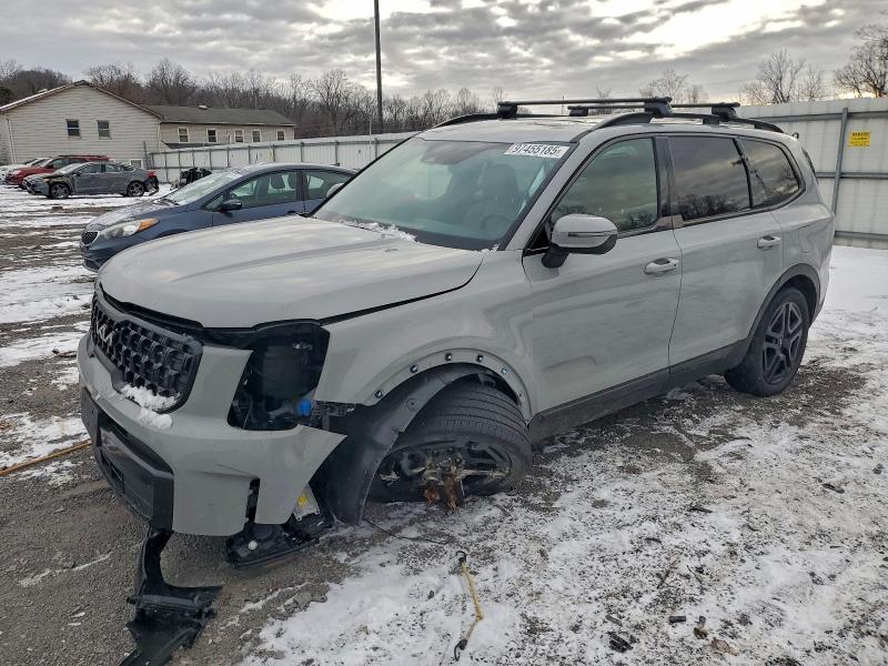 2024 KIA TELLURIDE — VIN 5XYP3DGC8RG520502