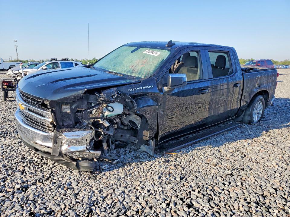 2019 CHEVROLET SILVERADO — VIN 1GCPWCED9KZ207849
