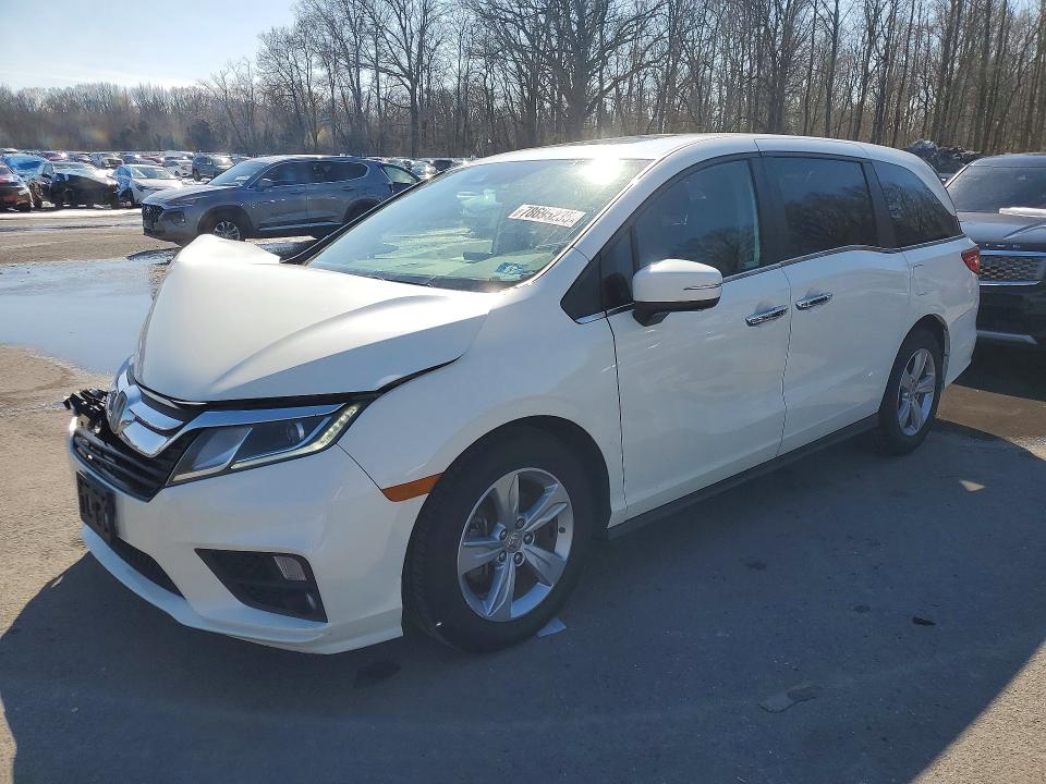 2019 HONDA ODYSSEY — VIN 5FNRL6H70KB031062