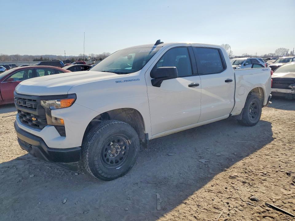 2025 CHEVROLET SILVERADO — VIN 3GCUKAED0SG222694