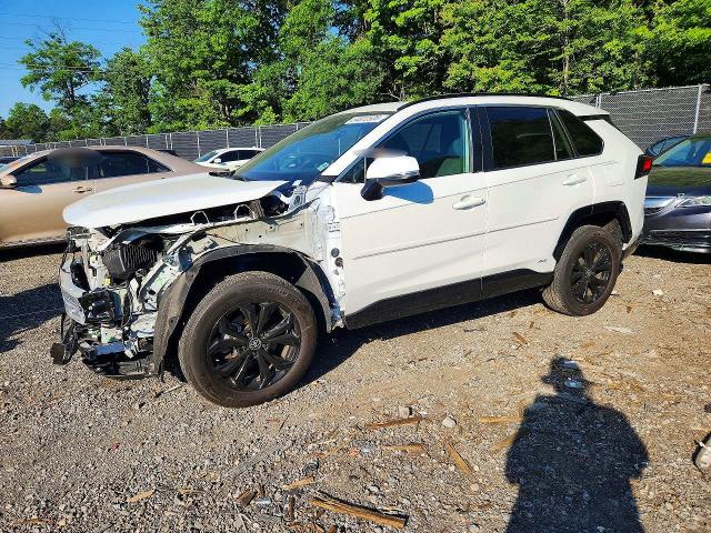 2024 TOYOTA RAV4 — VIN 2T3T6RFV7RW047683