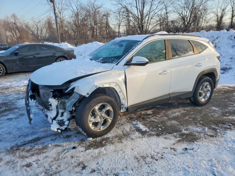 2022 HYUNDAI TUCSON — VIN 5NMJBCAE0NH028043