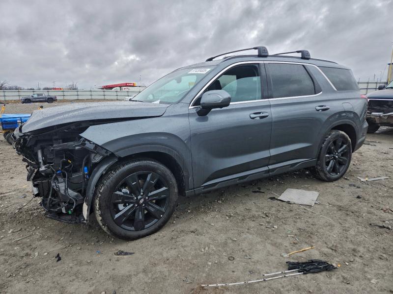 2025 HYUNDAI PALISADE — VIN KM8R34GE5SU932399