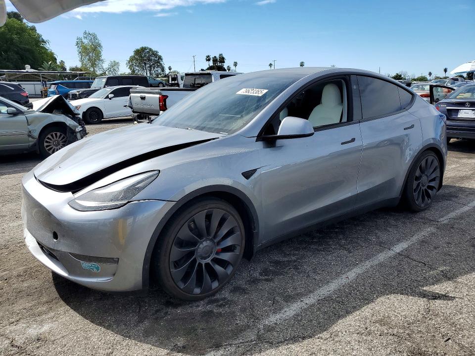 2024 TESLA MODEL Y — VIN 7SAYGDEF2RA324519
