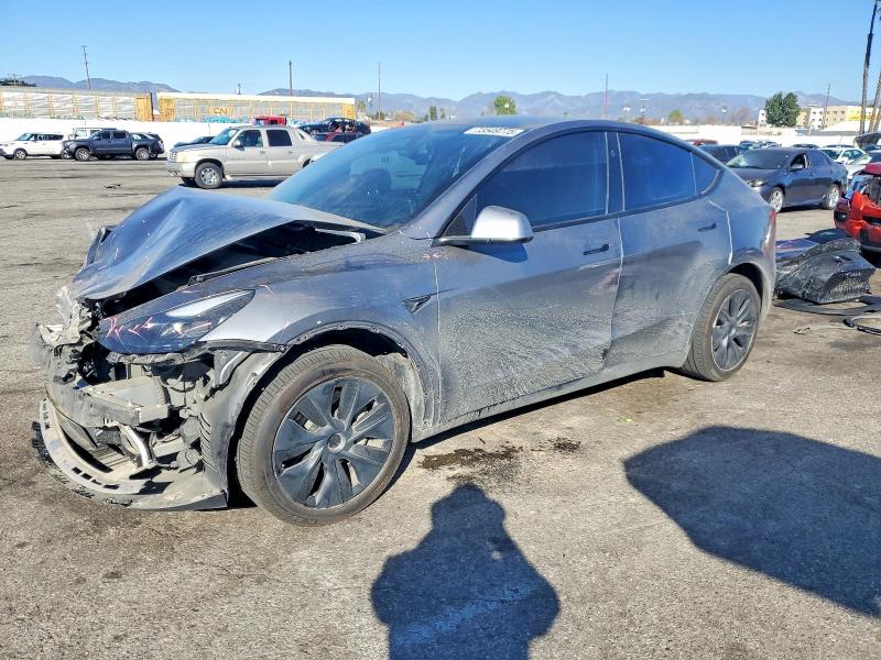 2024 TESLA MODEL Y — VIN 7SAYGDED5RF195628
