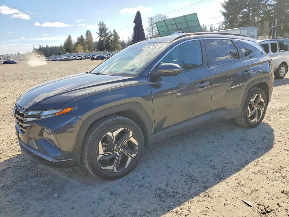 2024 HYUNDAI TUCSON — VIN 5NMJFCDE8RH321016