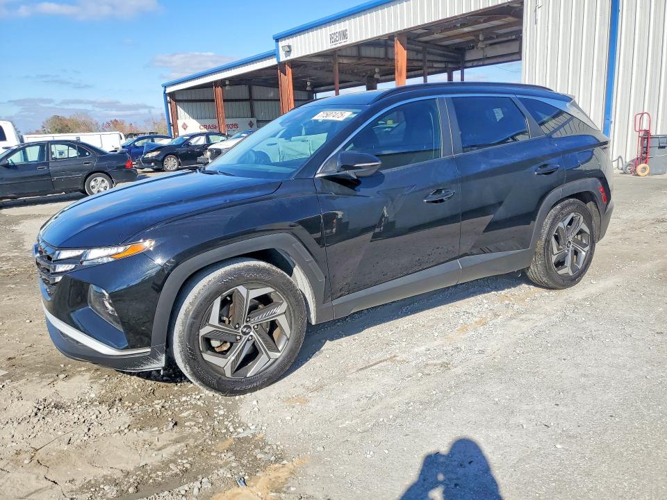 2024 HYUNDAI TUCSON — VIN 5NMJF3DE3RH303099