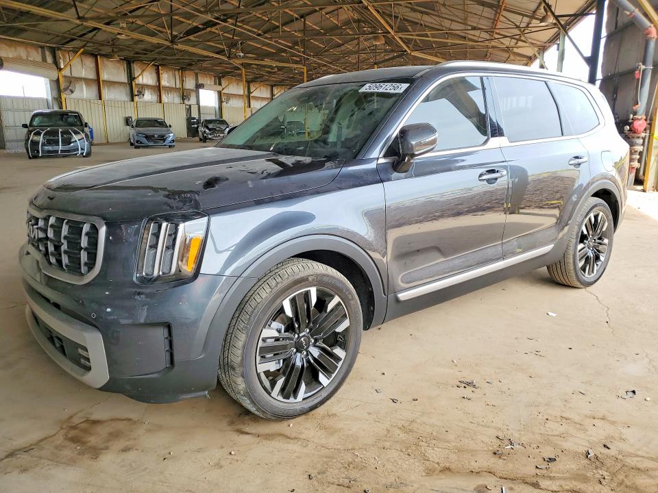 2024 KIA TELLURIDE — VIN 5XYP5DGC2RG491783