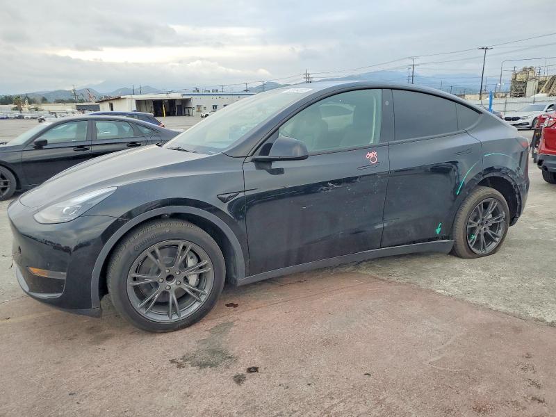 2024 TESLA MODEL Y — VIN 7SAYGDED9RF204007