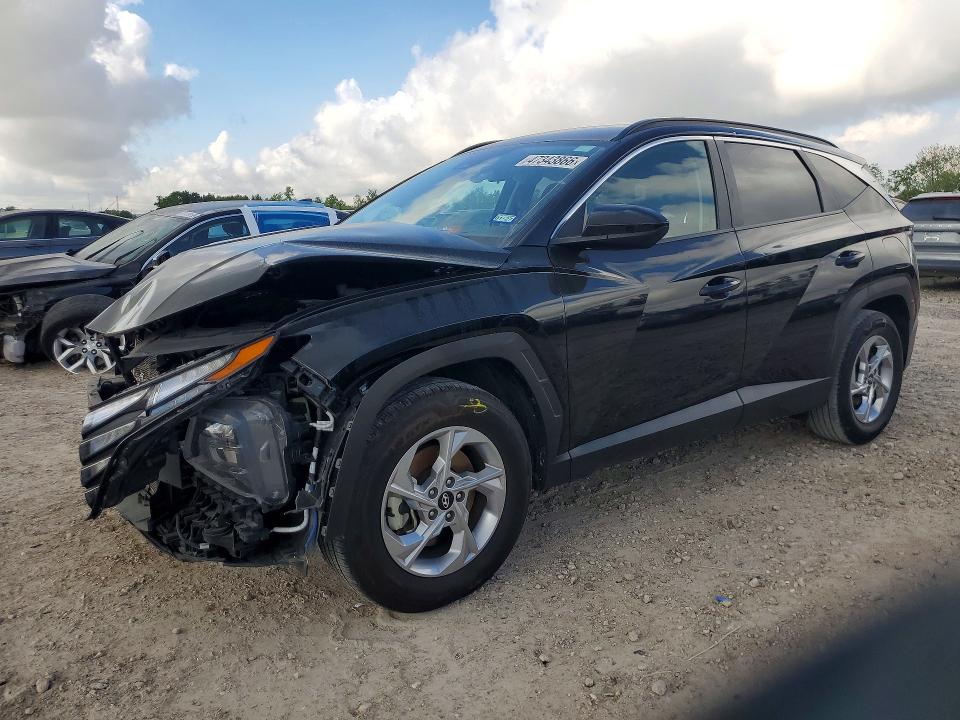 2024 HYUNDAI TUCSON — VIN 5NMJB3DE8RH305300