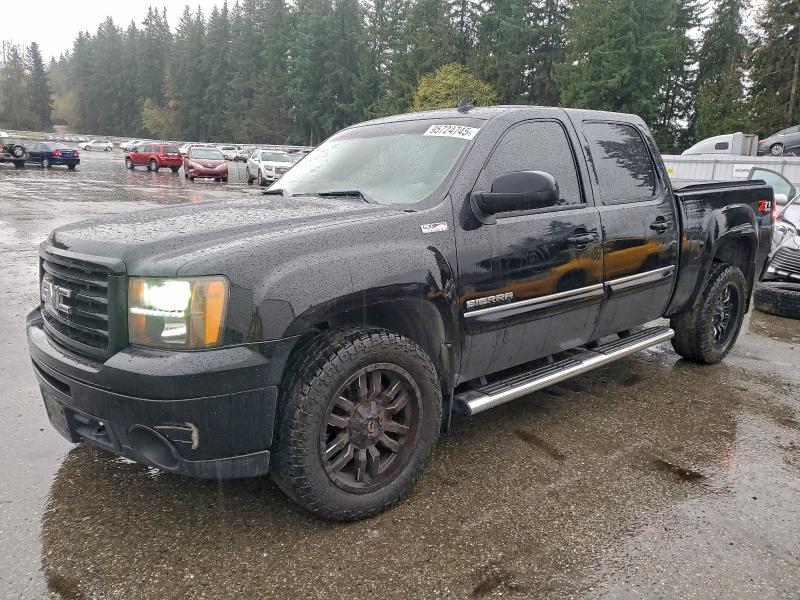 2013 GMC SIERRA K15 — VIN 3GTP2WE77DG366539