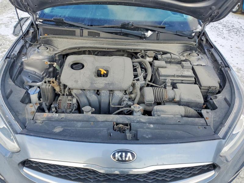 3KPF54AD4LE231905