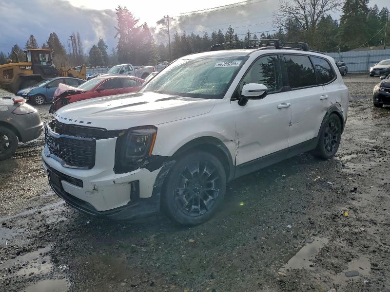 2022 KIA TELLURIDE — VIN 5XYP5DHC1NG272452