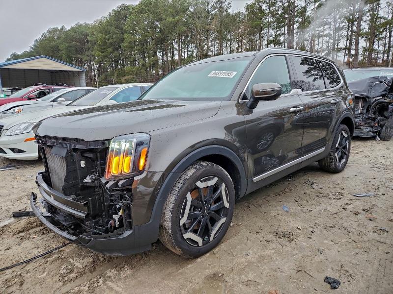 2024 KIA TELLURIDE — VIN 5XYP6DGC5RG469631