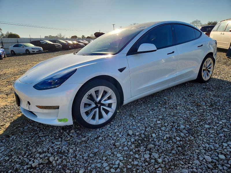 2021 TESLA MODEL 3 — VIN 5YJ3E1EA3MF077183