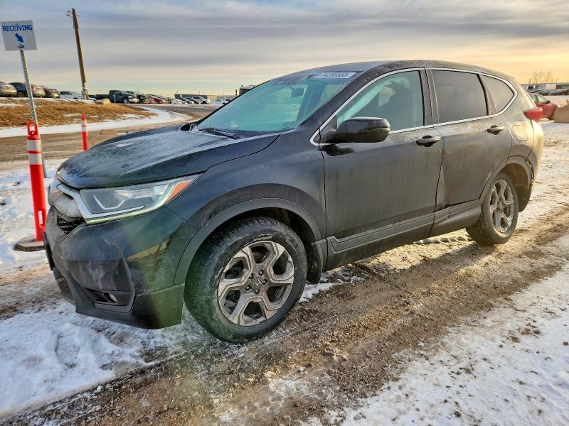 2019 HONDA CR-V — VIN 2HKRW2H56KH109652