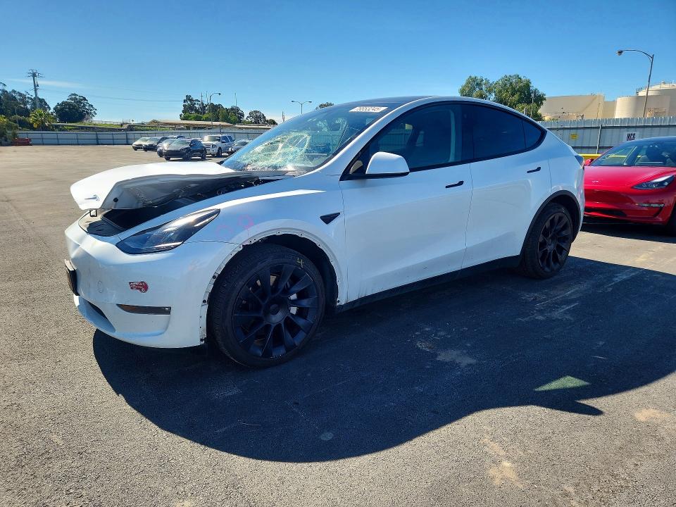 2023 TESLA MODEL Y — VIN 7SAYGDEE7PF692976