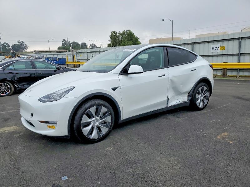 2023 TESLA MODEL Y — VIN 7SAYGDEEXPF590023