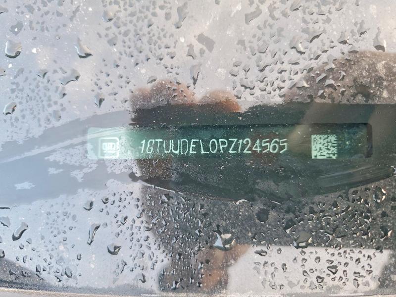 1GTUUDEL0PZ124565