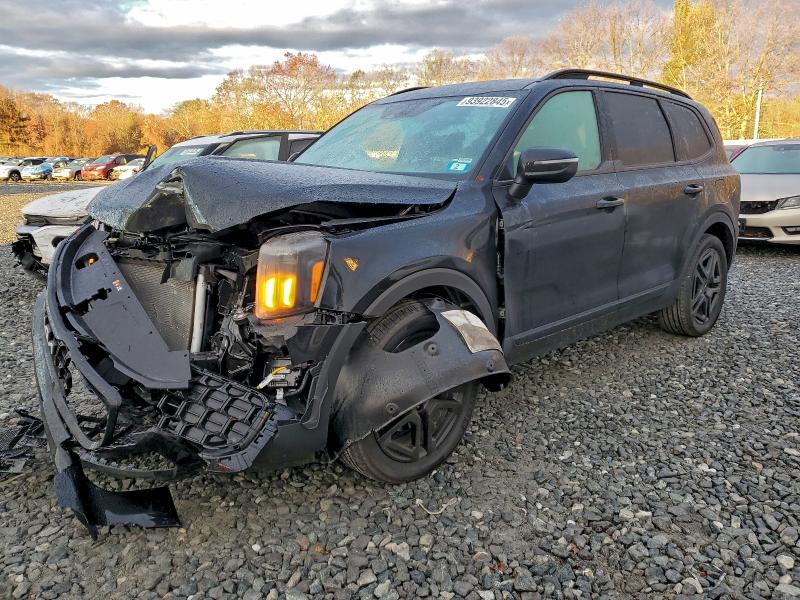 2024 KIA TELLURIDE — VIN 5XYP3DGC3RG527941