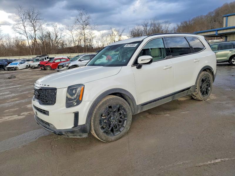 2021 KIA TELLURIDE — VIN 5XYP5DHC1MG096064