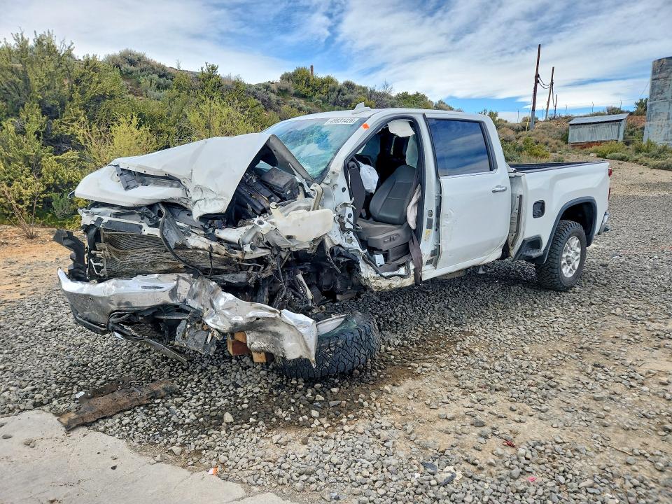 2020 CHEVROLET SILVERADO — VIN 1GC4YPEY6LF336609
