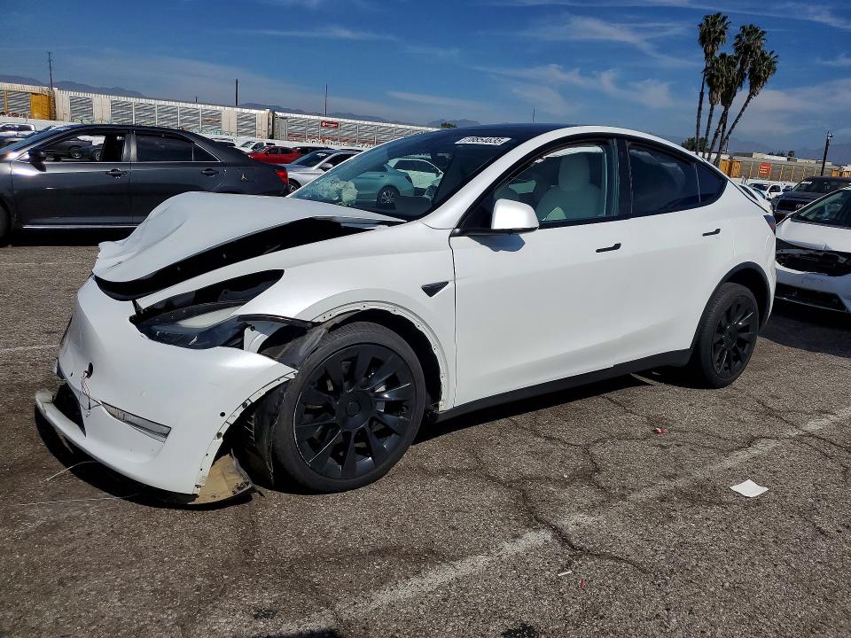 2022 TESLA MODEL Y — VIN 7SAYGDEE2NF553559